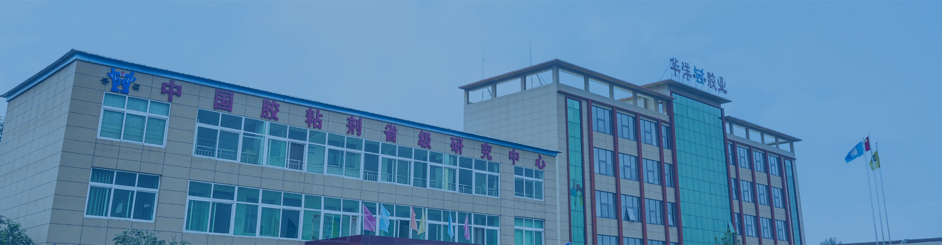 Xinxiang Huayang Adhesive Co., Ltd.