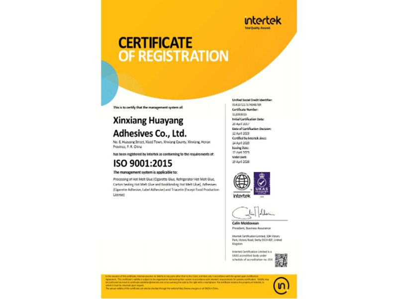 ISO 9001 Management System Certification Registration Certificate (English Version)