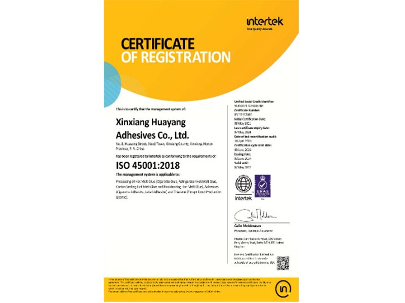 ISO 45001 Management System Certification Registration Certificate (English Version)