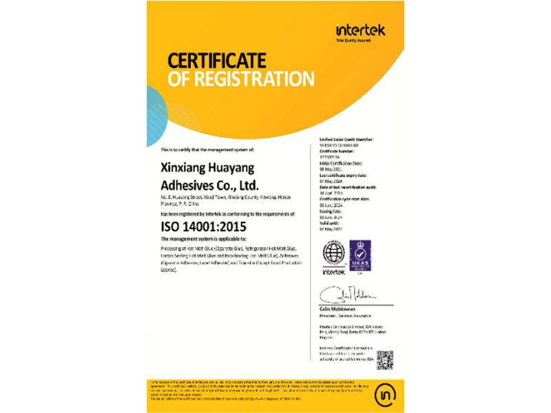 ISO 14001 Management System Certification Registration Certificate (English Version)